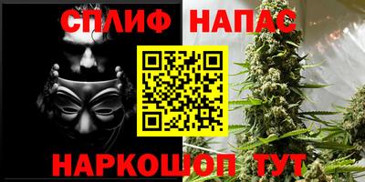 эйфоретик Моздок