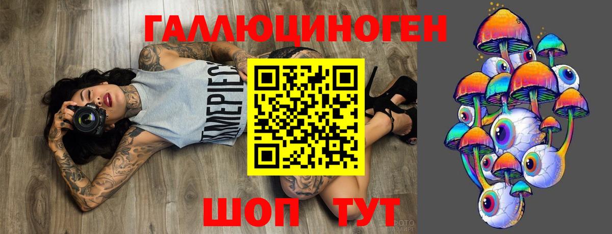 Псилоцибиновые грибы Cubensis Североморск